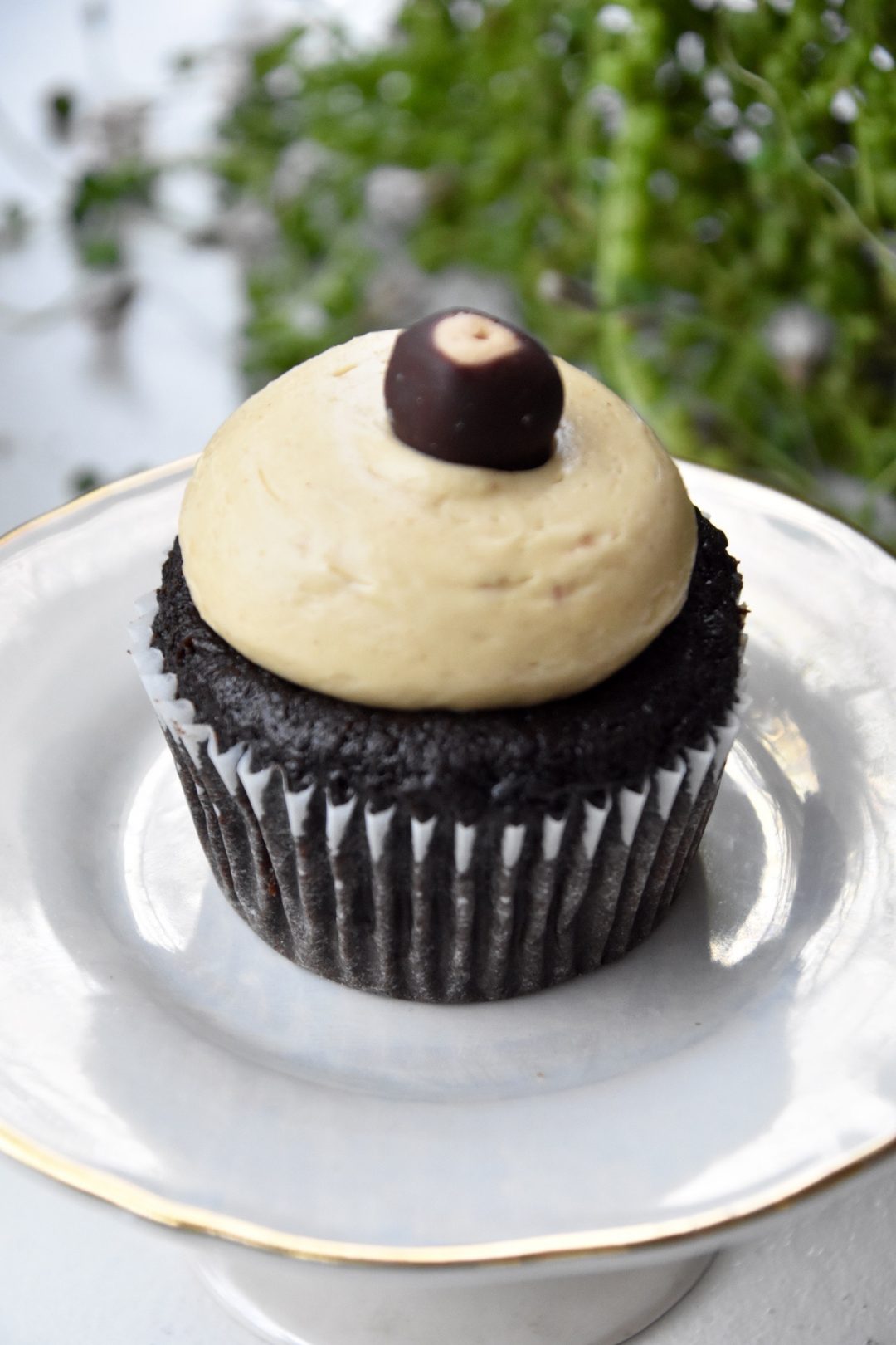 Buckeye Cupcake