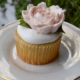 Classic White Cupcake